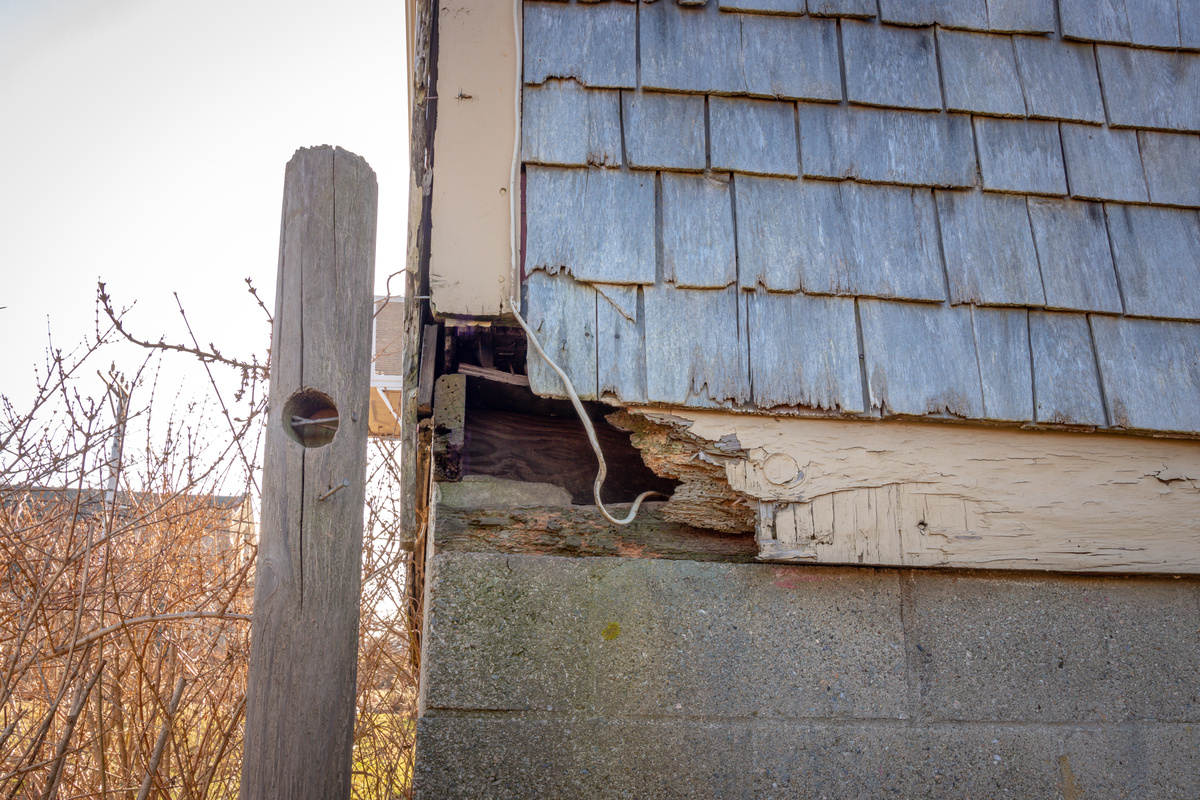 Raccoon Damage to Home Tipp City Ohio